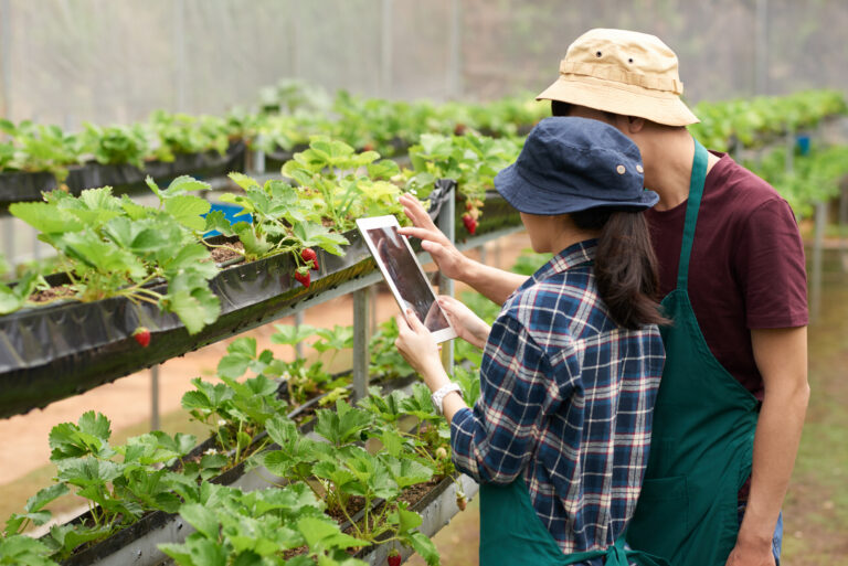 The Future of Tech in Agriculture